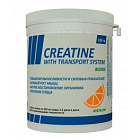 Biovise Creatine, 200 гр